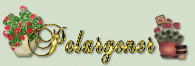 Pelargoner