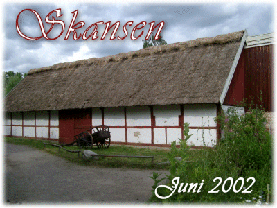 Skansen 2002