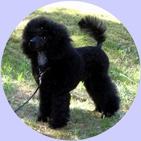 Danny 4 months