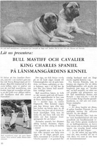 Reportage om Länsmansgårdens kennel
