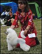 Medevi's Billie Jean, Blondie, 11 months old. 
