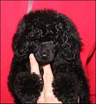 Winnie