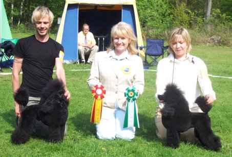 Ada  CERT, BIM & Champion i Höör