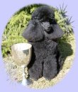 Ada med  vandringspriset Zsa Zsa pokalen som hon vann 2003! 