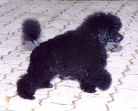 Ebba 3 months