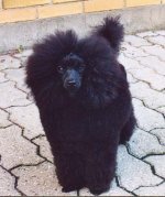 Ebba 6 months