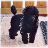 Ebba 3 months