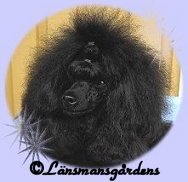 Fanny 2 år