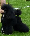 Frodo 2 years