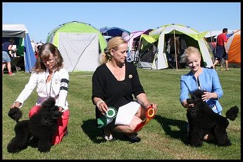 Katniss CERT BIM Eskilstuna SKK 2015