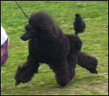 Kenzo 10 months