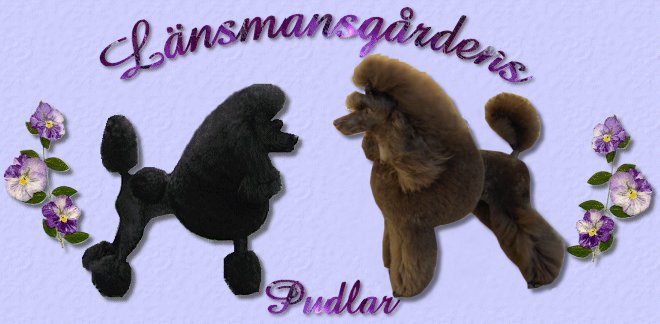 Länsmansgårdens Pudlar/ Länsmansgårdens Poodles