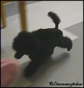 Libbys vackra rörelser