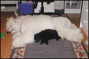 Linus & Julia