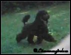 L. Magic Melody 10 veckor/10 weeks on the move