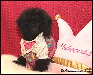 Prinsessan Stella 2m