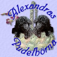 Alexandras Pudelhörna/ Alexandras Poodle Corner