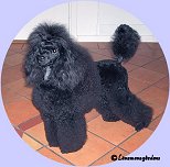 Tilda 10 m