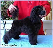 16 weeks old