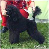 5 months old