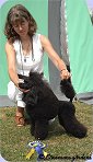 L. Dreamcatcher Maiden, Tilda, 16 månader.får sitt första CERT/16 months