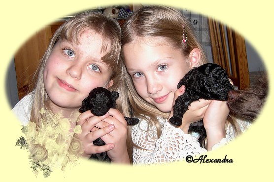 Josefine och Cecilia med Dexter och Dee Dee 3 v