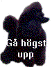 Till sidans topp